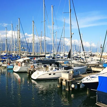 Mimi's Sunny * Lárnaca