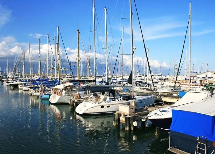 Mimi's Sunny * Larnaca